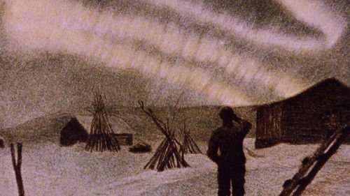 The Northern Lights Bild 1