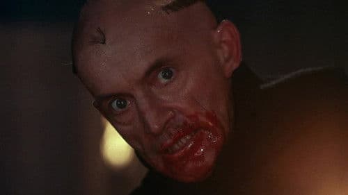 Meister des Grauens Bild 5