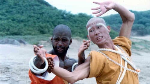 Shaolin Dolemite Bild 1