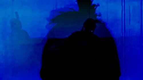 Naughty America: Guns & Stripes Bild 2