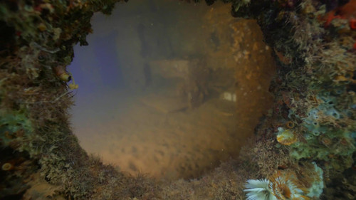 Expedition Pearl Harbor Bild 4