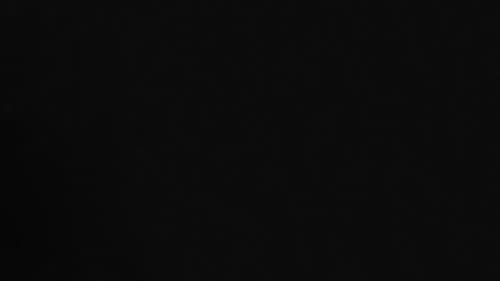 Revela la Ausencia Bild 2