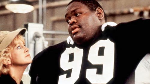 American Wildcats Bild 7