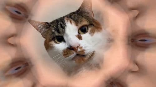 TREM PARADA DURA Bild 1