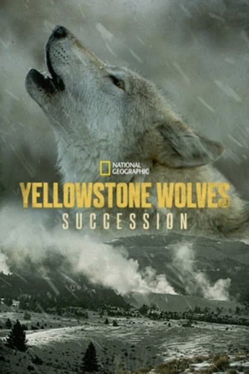 Die Wölfe des Yellowstone: Die nächste Generation