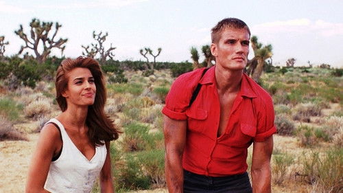 Barett - Das Gesetz der Rache Bild 5