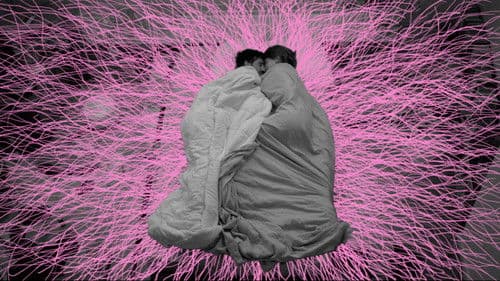 Je suis resté dans les bois Bild 1