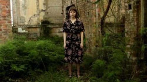 Bookpink – O Livro dos Pássaros Bild 1