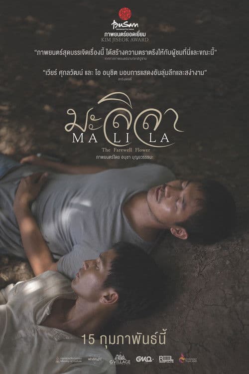 āļĄāļ°āļĨāļīāļĨāļē