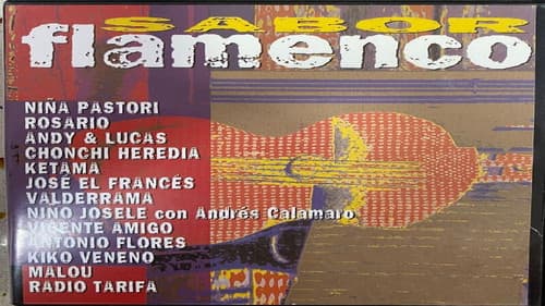 Sabor Flamenco Bild 1