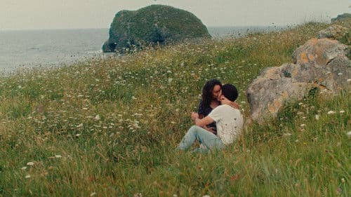 Ein Sommer zu Hause Bild 2