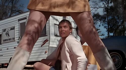 Die Satansengel von Nevada Bild 5