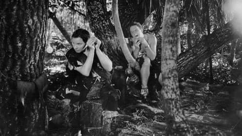 Four Frightened People Bild 7