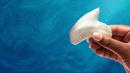 Investigation Shark Attack Bild 5