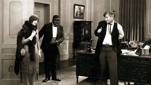 A Texas Steer Bild 1