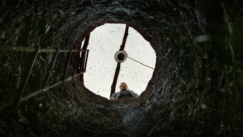 Der wilde Birnbaum Bild 3