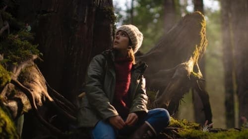 The Island Between Tides Bild 1