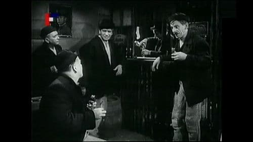 Pole neorané Bild 1