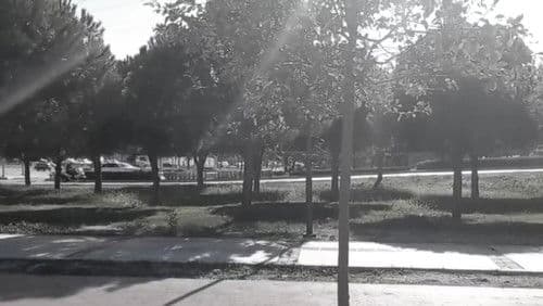 Mercan: Skate King Bild 1