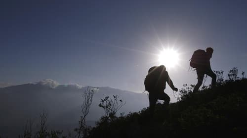 De helden van Arnout Bild 1