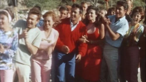 A Swingin' Summer Bild 4