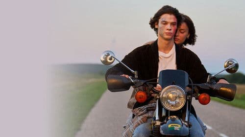 Leurs Enfants après eux Bild 5