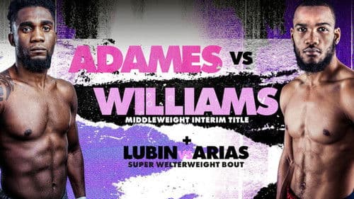 Carlos Adames vs. Julian Williams Bild 3