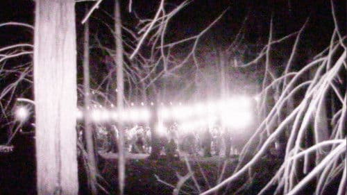 The Savior's Witness Bild 1