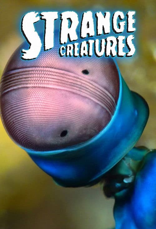 Strange Creatures