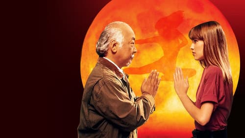 Karate Kid IV - Die nächste Generation Bild 4