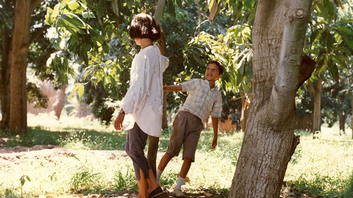 سرقات صيفية Bild 2