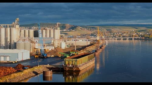 The Snake and the Whale Bild 4