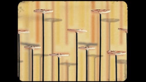 The Finger Wife Bild 1