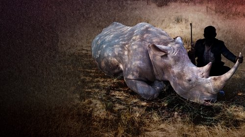 Krwawe trofeum Bild 2