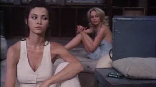 The Night They Took Miss Beautiful Bild 2