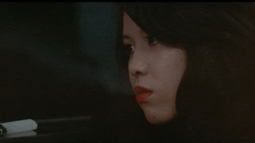 札幌・横浜・雄琴・博多 トルコ渡り鳥 Bild 8