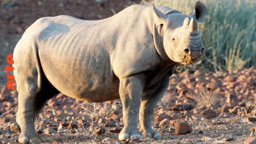 Mission : sauver le monde sauvage Bild 1