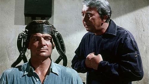 Scharfe Schüsse auf Jamaika Bild 7