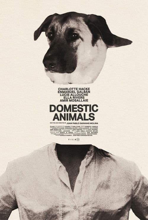 Domestic Animals