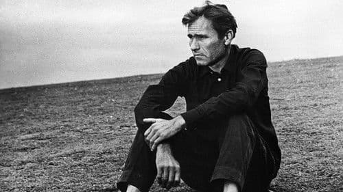 Kalina Krassnaja – Roter Holunder Bild 2