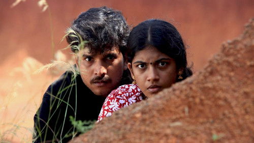 முந்திரிக்காடு Bild 4