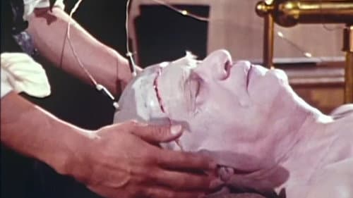 Frankenstein : Une histoire d'amour Bild 4
