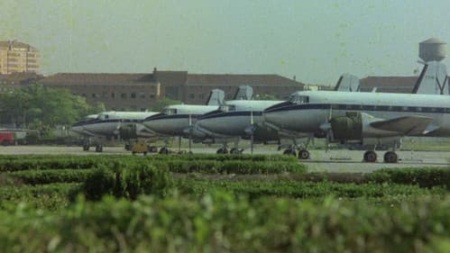 Großangriff der Zombies Bild 7