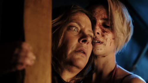 The Collected Bild 2