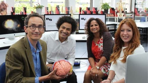 24 Hours Inside Your Body Bild 1