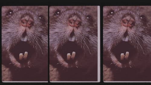 Living Without Menace Bild 1