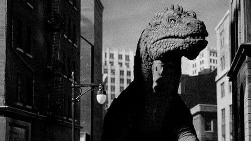 Panik in New York Bild 1