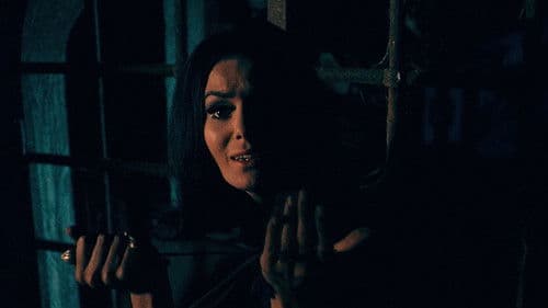 Der Dämon und die Jungfrau Bild 6