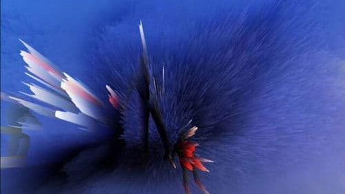 L'indomptable Bild 4