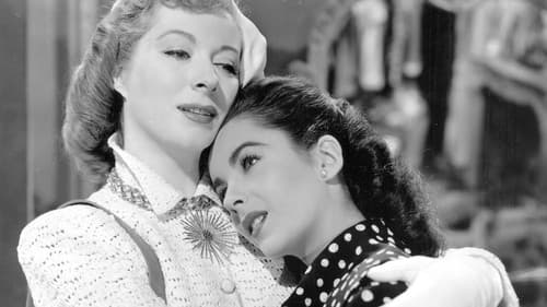 Die unvollkommene Dame Bild 4